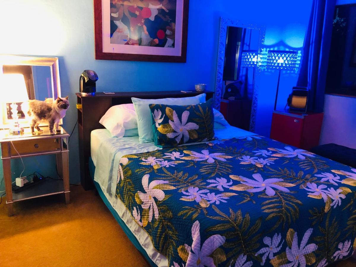 Kona Magic Honu Room Kailua-Kona Extérieur photo